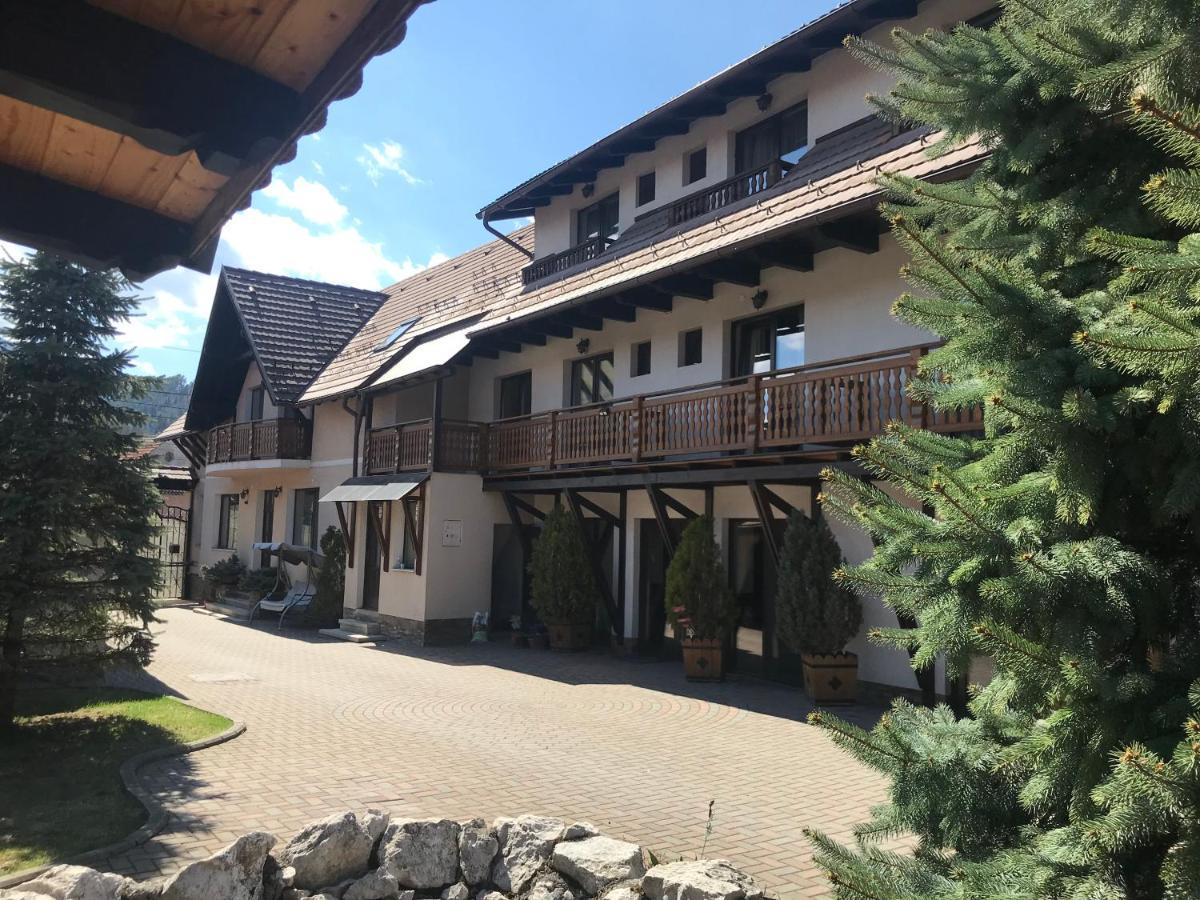 Pensiunea Haiduc Sacele Brasov エクステリア 写真