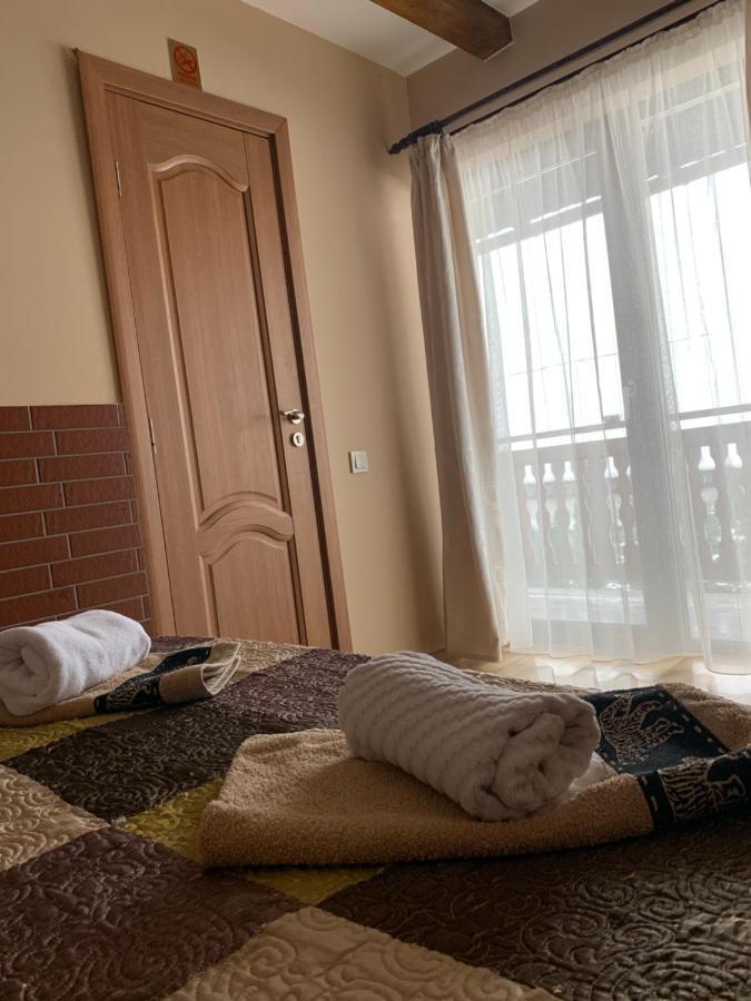Pensiunea Haiduc Sacele Brasov エクステリア 写真